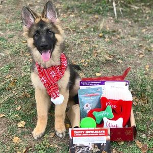 Image post by @petco on Instagram