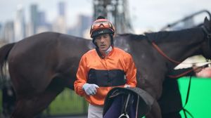 Image post by @flemingtonvrc on Instagram