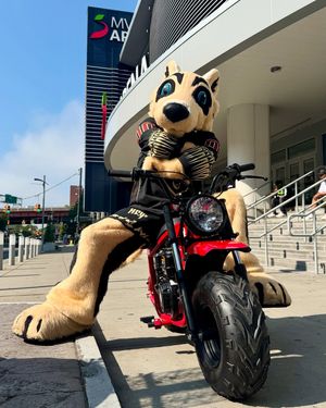 Image post by @albfirewolves on Instagram