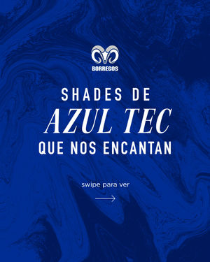 Image post by @borregostec on Instagram