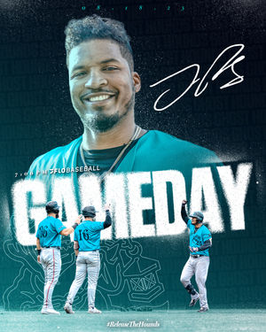 Image post by @goghosthounds on Instagram