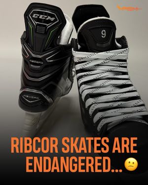 Image post by @prostockhockey on Instagram