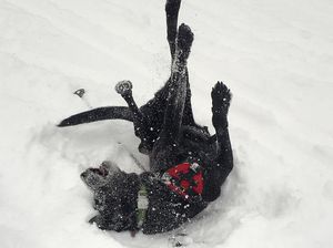 Image post by @breckenridgemtn on Instagram