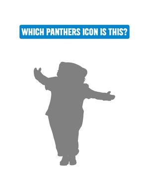 Video post by @panthers on TikTok