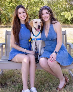Image post by @canineorg on Instagram