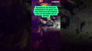 Video post by @laopinionla on YouTube