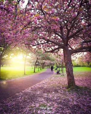 Image post by @discoverireland.ie on Instagram