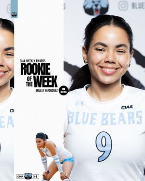Image post by @bluebearathletics on Instagram