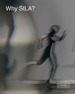 Image post by @livesilabynovak on Instagram