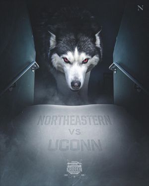 Image post by @northeastern on Instagram