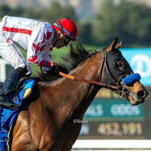 Image post by @thoroughbred_daily_news on Instagram