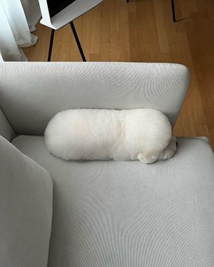 Image post by @9gag on Instagram