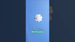 Video post by @kiwico on YouTube