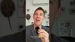 Video post by @vox on YouTube