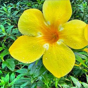 Image post by @caribbeansunshine2.0 on Instagram