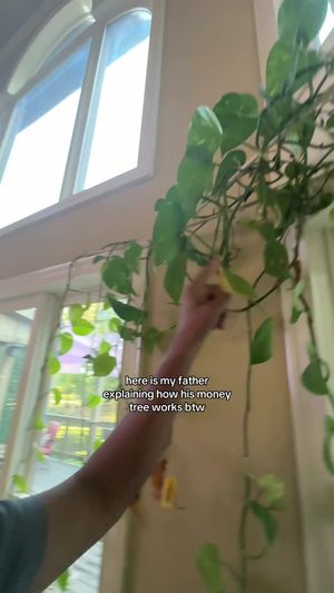 Video post by @azmekabir on TikTok