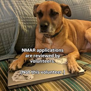 Image post by @northmeckanimalrescue on Instagram