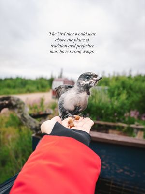 Image post by @kirstenalana on Instagram