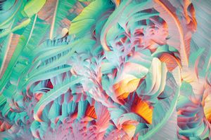 Image post by @optica.worldwide on Instagram