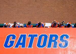 Image post by @FLGatorsSP on Twitter