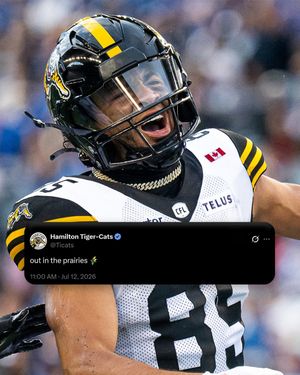 Image post by @hamiltontigercats on Instagram