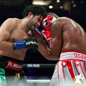 Image post by @goldenboy on Instagram