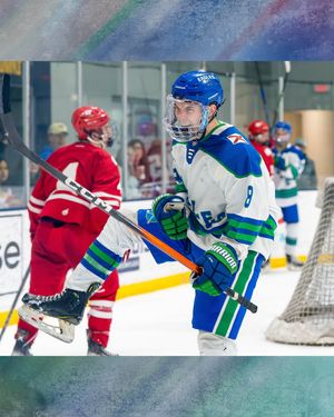 Image post by @hockeyhousepod on Instagram