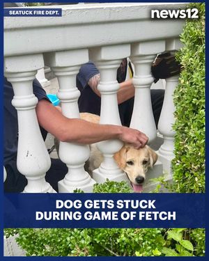 Image post by @news12li on Instagram