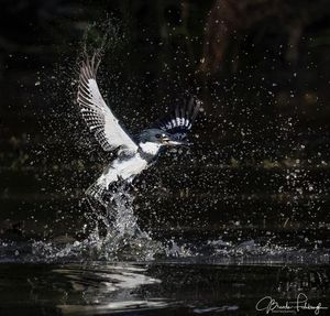 Image post by @huntsphotovideo on Instagram