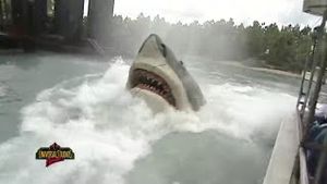 Video post by @cowmissing on YouTube