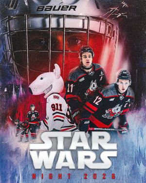 Image post by @ohlicedogs on Instagram