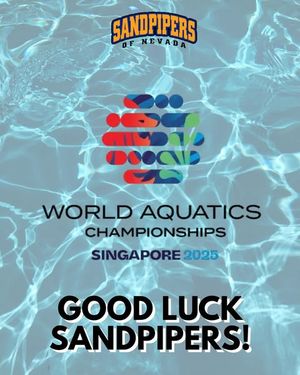 Image post by @sandpipersofnv on Instagram