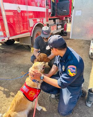 Image post by @calfire on Instagram