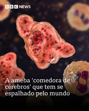 Image post by @bbcbrasil on Instagram