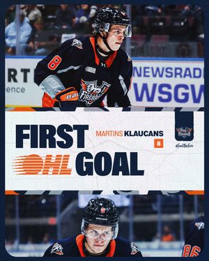 Image post by @flintfirebirds on Instagram