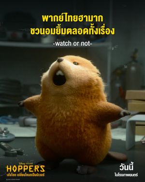 Image post by @disneystudiosth on Instagram