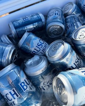 Image post by @BuschBeer on Twitter