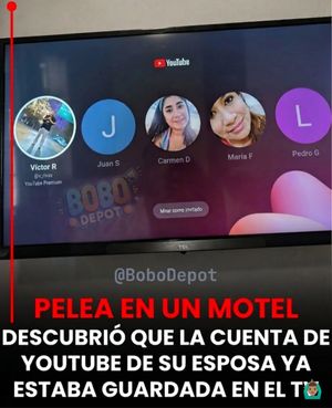 Image post by @bobodepott on Instagram