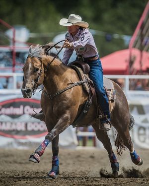 Image post by @sistersrodeo on Instagram