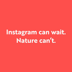Image post by @rspb on Instagram