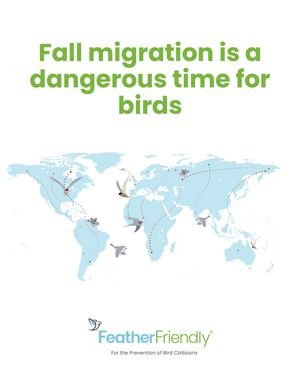 Image post by @featherfriendly on Instagram