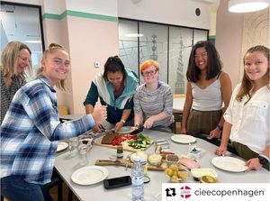 Image post by @cieestudyabroad on Instagram