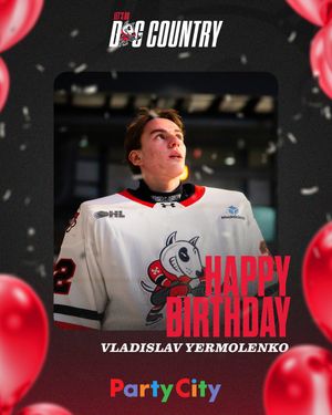 Image post by @OHLIceDogs on Twitter