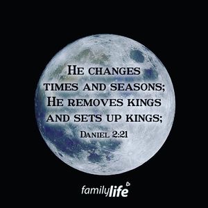 Image post by @familylifenypa on Instagram