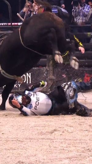 Video post by @pbr on Facebook
