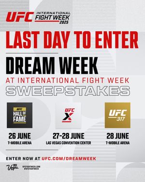 Image post by @ufc on Twitter