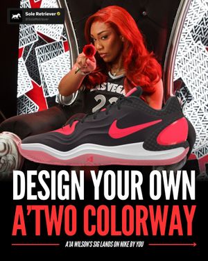 Image post by @soleretriever on Instagram