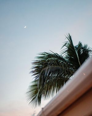 Image post by @jasonbeckettproductions on Instagram