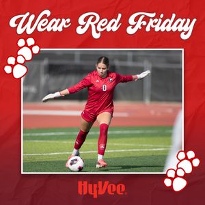 Image post by @niuhuskies on Instagram