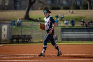 Image post by @BerrySoftball on Twitter